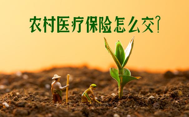 农村医疗保险怎么办理(农村医疗保险怎么办理)  第1张