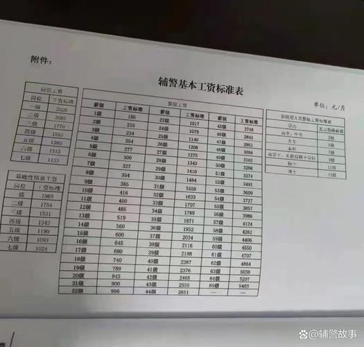 辅警工资,辅警工资待遇  第1张 辅警工资,辅警工资待遇  第1张