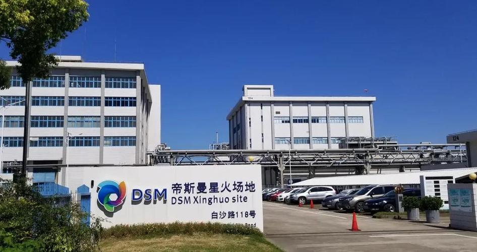 帝斯曼待遇,帝斯曼上海公司待遇 第1张 帝斯曼待遇,帝斯曼上海公司待遇 第1张