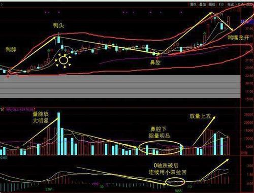 老鸭头k线形态,老鸭头k线形态会涨多少  第1张