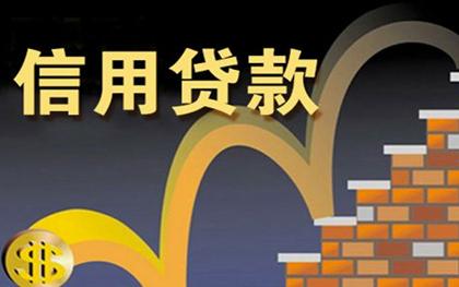 农村信用社贷款无力偿还怎么办,我欠银行5万元逾期3年了  第1张