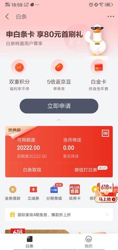 京东白条还不上怎么办,京东白条还不上可以协商还款吗 第1张 京东白条还不上怎么办,京东白条还不上可以协商还款吗 第1张