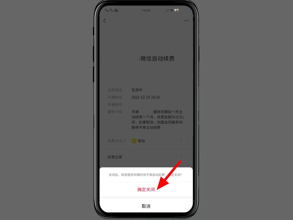 (微信自动扣费怎么关闭)微信自动扣费怎么关闭 第5张 (微信自动扣费怎么关闭)微信自动扣费怎么关闭 第5张