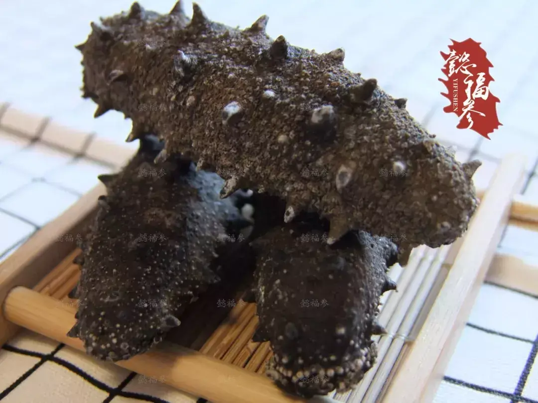 (哪里买海参比较好)哪里的海参好?海参产地大揭秘  第8张