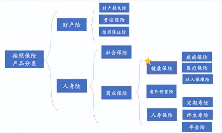 保险险种，三、保险的主要险种分类及介绍  第1张