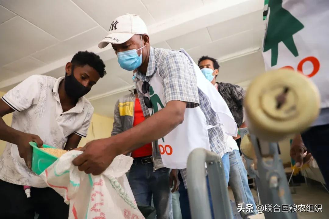 (新扶贫标准)联合国粮农组织公布衡量农村贫困新标准  第5张