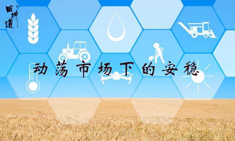 (如何自主创业)田坤道:自主创业都能干些什么?生态粮油快来了解一下  第1张
