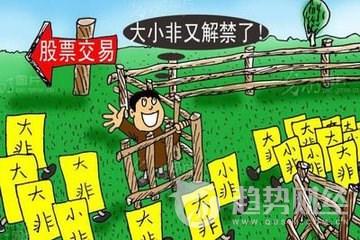 (减持是什么意思)股票入门知识:什么是大小非 大小非减持规定及流程  第1张