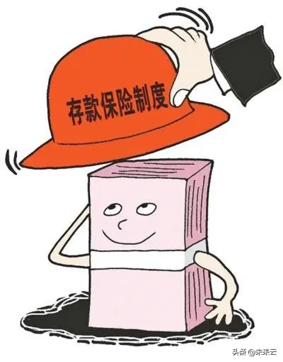 (存款保险制度)存款保险制度  第2张