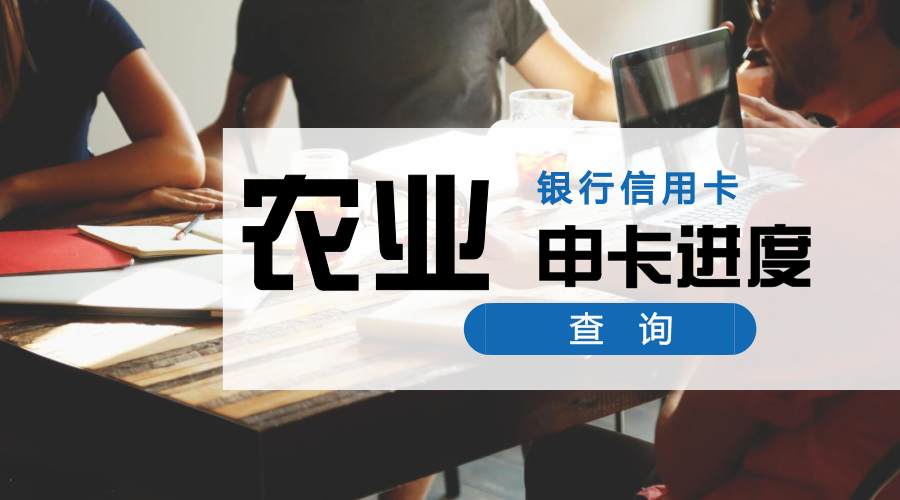 (信用卡进度查询)懒人福利:19家银行信用卡，申卡进度快捷查询入口，中介必备  第5张