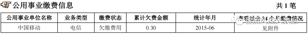 (征信报告)企业人行征信报告的全面梳理与数据介绍 第16张 (征信报告)企业人行征信报告的全面梳理与数据介绍 第16张