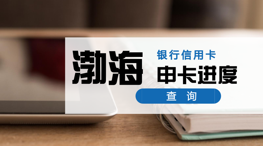 (信用卡进度查询)懒人福利:19家银行信用卡，申卡进度快捷查询入口，中介必备  第21张