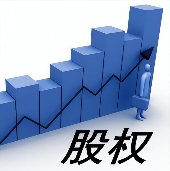 (期权和股权的区别)股权、期权和原始股的区别  第4张