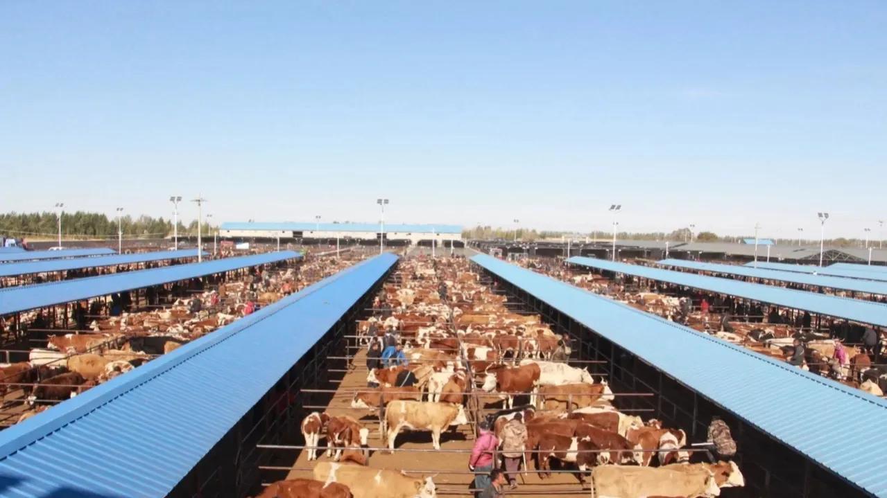 (赚钱行业)未来可以赚钱的4个行业 第2张 (赚钱行业)未来可以赚钱的4个行业 第2张