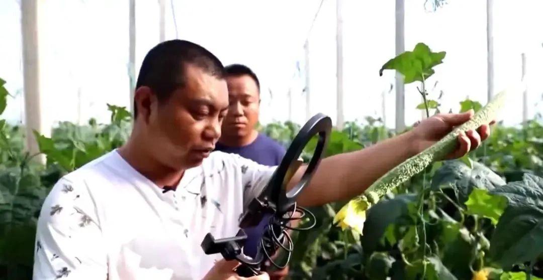 (拼多多股票)黄峥归隐一周年:拼多多财报向上,股价向下 第10张 (拼多多股票)黄峥归隐一周年:拼多多财报向上,股价向下 第10张