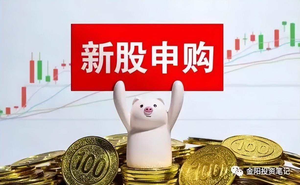 新股申购的流程是怎么样的?(新股怎么申购啊) 第1张 新股申购的流程是怎么样的?(新股怎么申购啊) 第1张