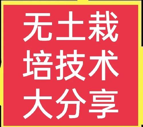 (无土栽培投资)无土栽培需要投资多少钱?适合种植哪些植物?  第1张
