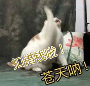 (个税扣法)不得不知的N种个税扣法:看看你被“税”了没?  第2张