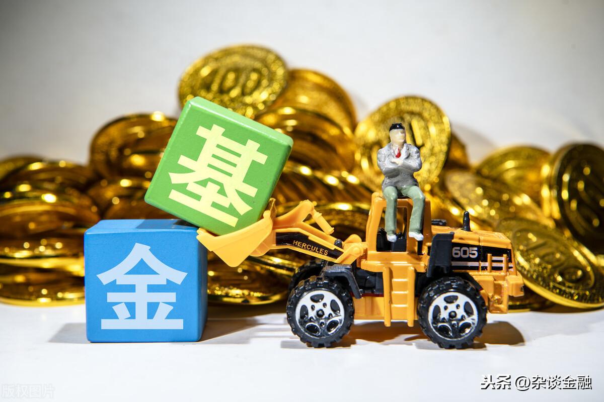 (单位净值是什么意思)基金中的单位净值，是什么意思?  第3张