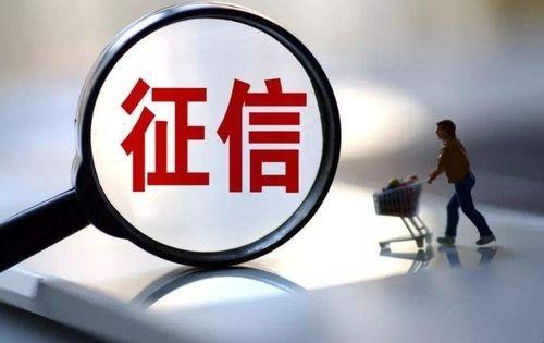 (个人信用征信)个人信征信系统 第1张 (个人信用征信)个人信征信系统 第1张
