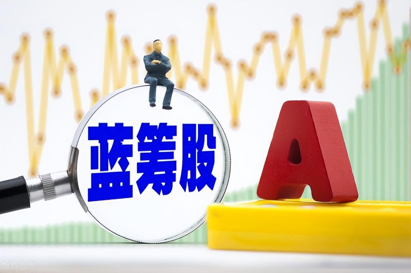 (什么是蓝筹股)股票基础知识--什么是绩优股、垃圾股、蓝筹股、红筹股 第2张 (什么是蓝筹股)股票基础知识--什么是绩优股、垃圾股、蓝筹股、红筹股 第2张