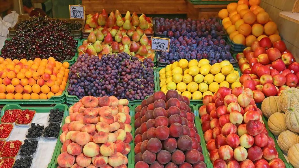 (赚钱小项目)年底适合做什么生意?这八个小项目很不错,想赚钱的别错过 第7张 (赚钱小项目)年底适合做什么生意?这八个小项目很不错,想赚钱的别错过 第7张