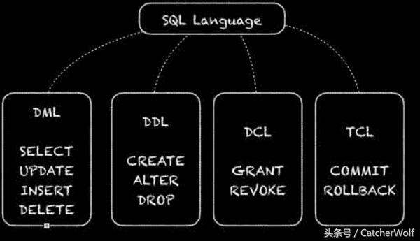 (dML是什么意思)MySQL之DDL、DML、DCL篇  第1张
