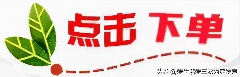 (五十岁创业适合做什么)五六十岁的农村人做什么项目比较好?哪些项目能月入过万元?  第7张