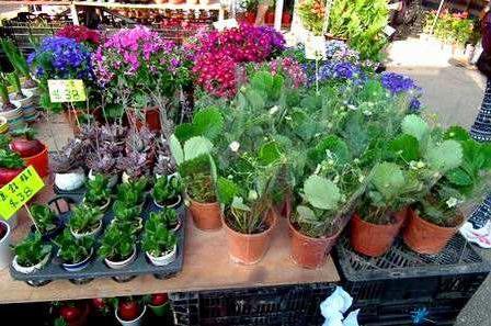 (做什么小生意最赚钱)一两千块钱能做什么生意?这几个小项目能快速赚钱，值得一试  第6张