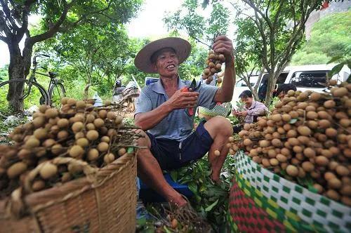 (如何赚钱)普通人如何逆袭翻身?深度解析4种赚钱模式!给你清晰的路径 第7张 (如何赚钱)普通人如何逆袭翻身?深度解析4种赚钱模式!给你清晰的路径 第7张