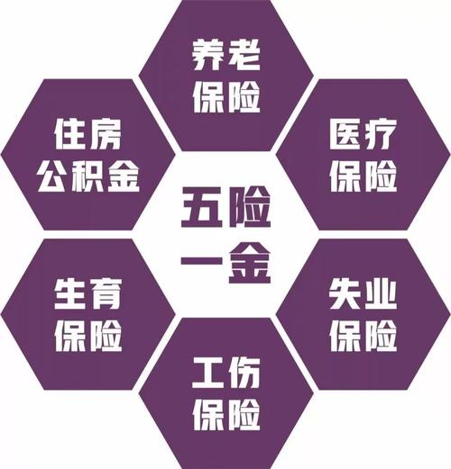 (五险一金离职了是不是白交了)五险一金离职了是不是白交了?  第1张