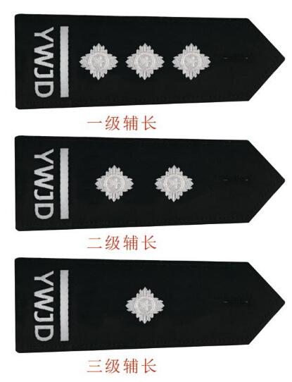 (警衔工资)辅警最新肩章，被授衔还能涨工资，你知道吗?  第4张