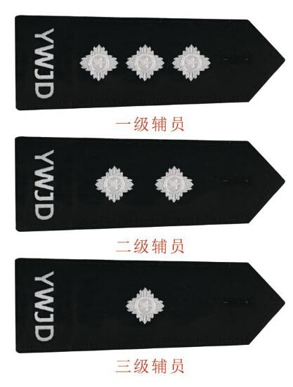 (警衔工资)辅警最新肩章，被授衔还能涨工资，你知道吗?  第3张