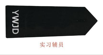 (警衔工资)辅警最新肩章，被授衔还能涨工资，你知道吗?  第2张