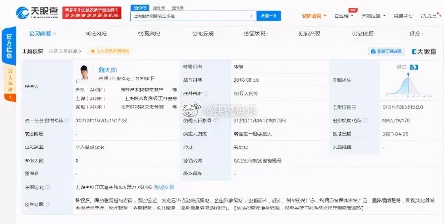 (赵薇被冻结数百万股权)郑恺被强制执行3000万，赵薇被冻结数百万股权，郑爽翘起娱乐圈?  第2张