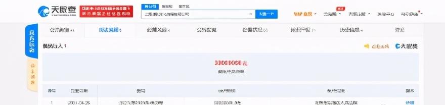(赵薇被冻结数百万股权)郑恺被强制执行3000万，赵薇被冻结数百万股权，郑爽翘起娱乐圈?  第3张