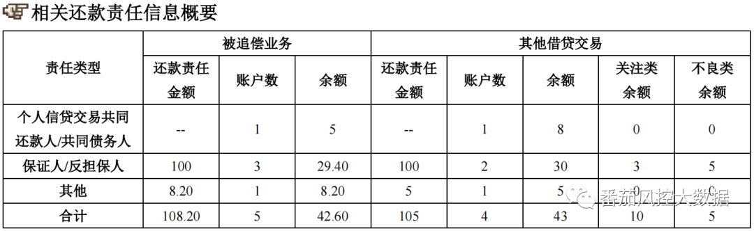 (征信报告)企业人行征信报告的全面梳理与数据介绍 第5张 (征信报告)企业人行征信报告的全面梳理与数据介绍 第5张