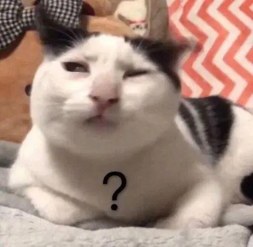 (唐突是什么意思)第一次聊天说什么?  第3张 (唐突是什么意思)第一次聊天说什么?  第3张