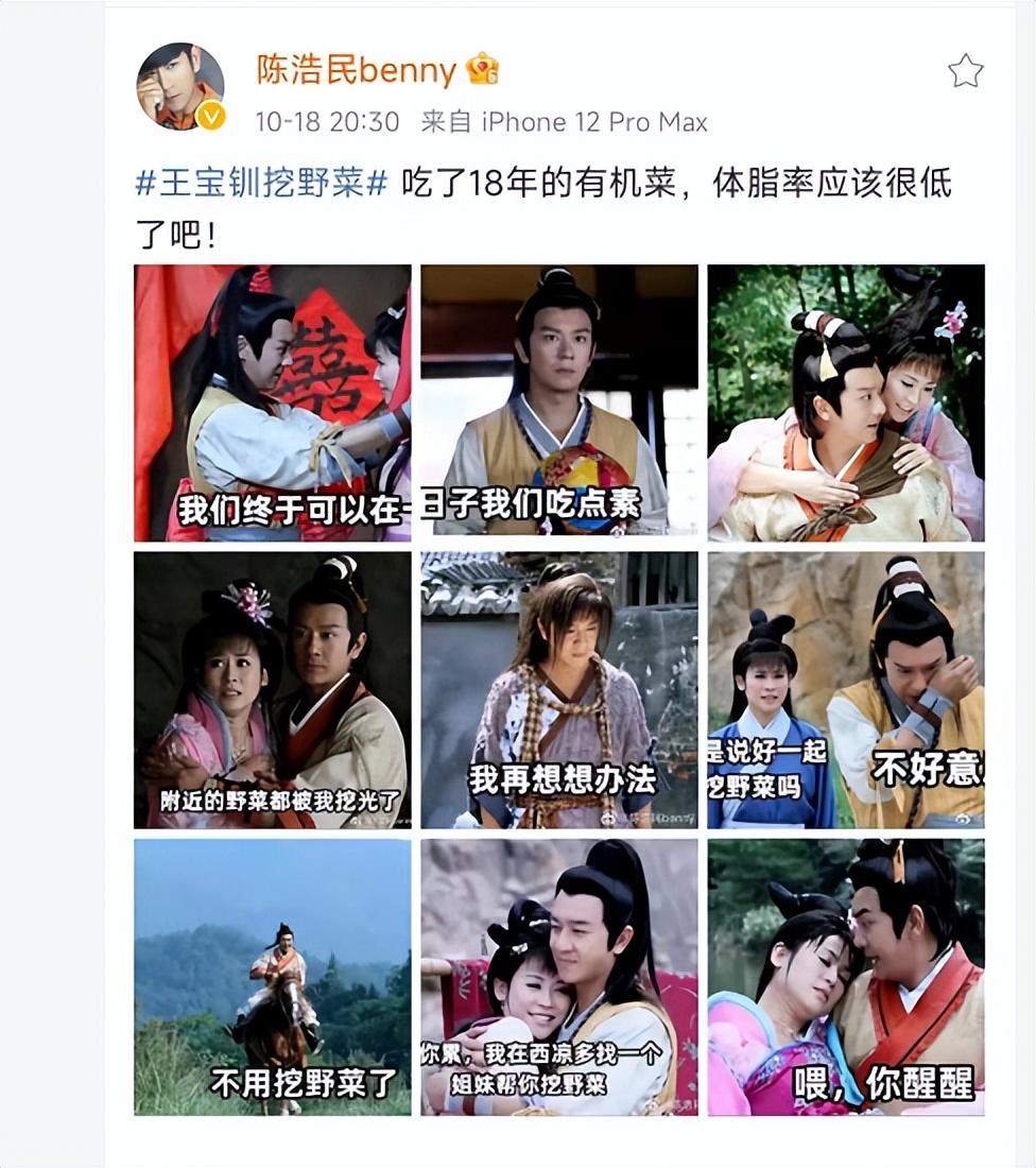(宣萱回应王宝钏挖野菜)王宝钏挖野菜梗爆红，男女主演均回应，陈浩民被骂惨宣萱获力挺  第6张