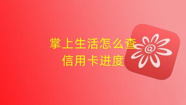 (掌上生活为什么有额度)掌上生活怎么查信用卡进度 第1张 (掌上生活为什么有额度)掌上生活怎么查信用卡进度 第1张