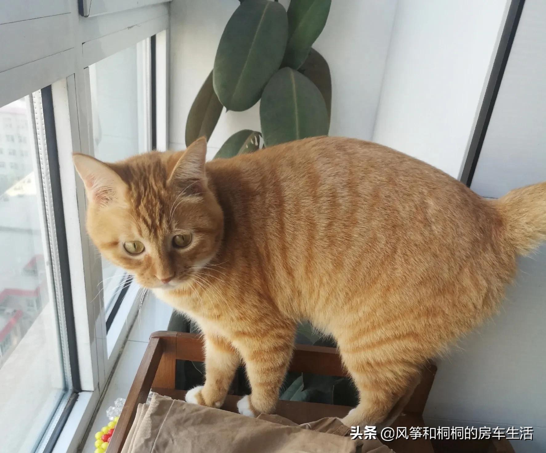 (贷款 买房)全款买房与贷款买房,多年以后的区别  第2张 (贷款 买房)全款买房与贷款买房,多年以后的区别  第2张