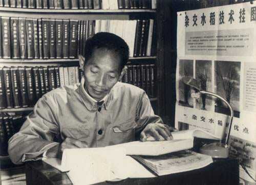 (袁隆平资产)20年前，袁隆平无形资产就为1000亿，却仍旧低调做人  第2张