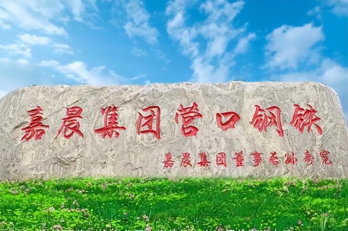 (40岁开始创业)辽宁首富孙寿宽,40岁开始创业,如今花千万冠名高铁宣传家乡 第5张 (40岁开始创业)辽宁首富孙寿宽,40岁开始创业,如今花千万冠名高铁宣传家乡 第5张