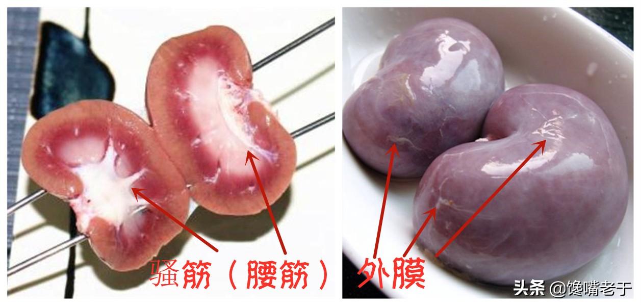 (腰子是哪个部位)羊身上“最贵”的一个部位,不论斤卖按个卖,但很多人吃不下 第4张 (腰子是哪个部位)羊身上“最贵”的一个部位,不论斤卖按个卖,但很多人吃不下 第4张