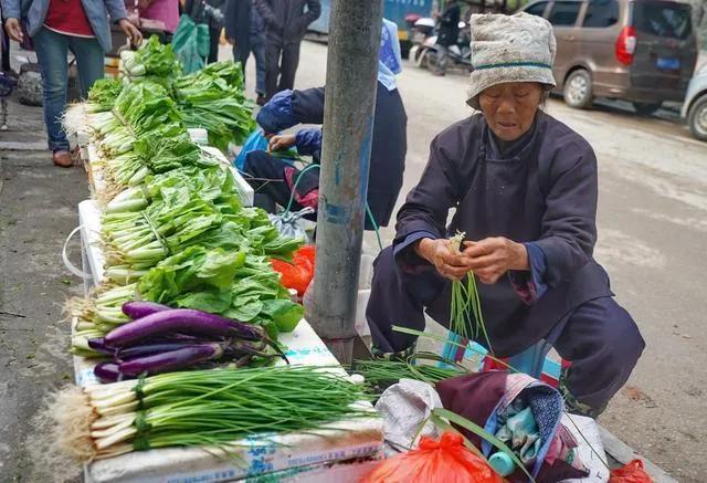(收款二维码怎么申请)3月1日起个人收款码禁止商用，怎么申请商户收款码?免费收款  第1张