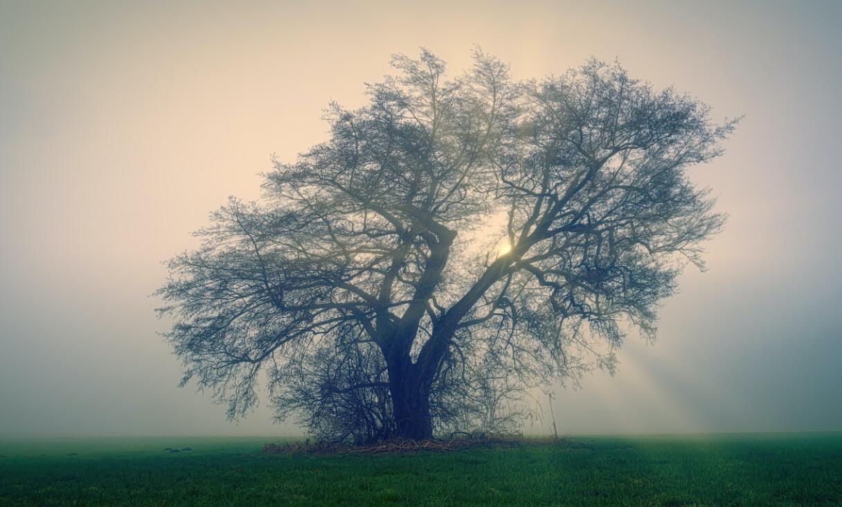 (打字赚钱)轻松打字能赚钱?文案工作,说简单也困难 第1张 (打字赚钱)轻松打字能赚钱?文案工作,说简单也困难 第1张