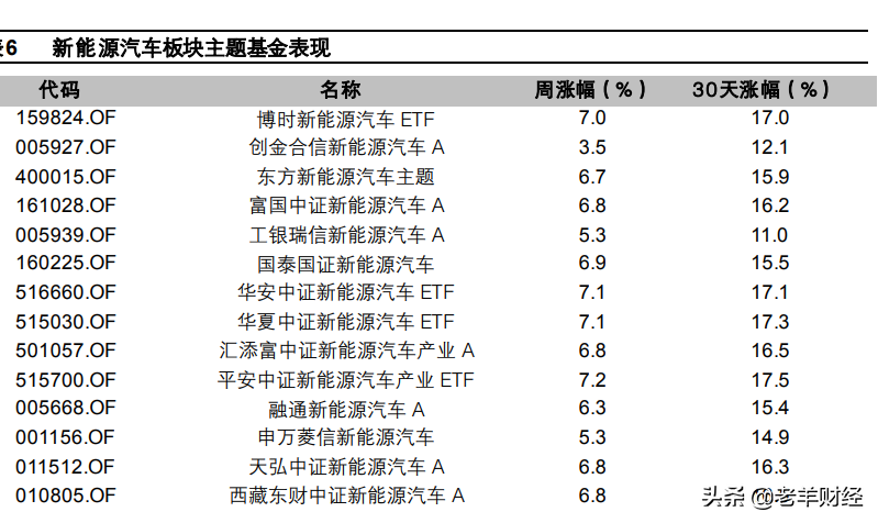 (新能源汽车股票)新能源汽车股票的未来是鲜花还是杂草? 第8张 (新能源汽车股票)新能源汽车股票的未来是鲜花还是杂草? 第8张
