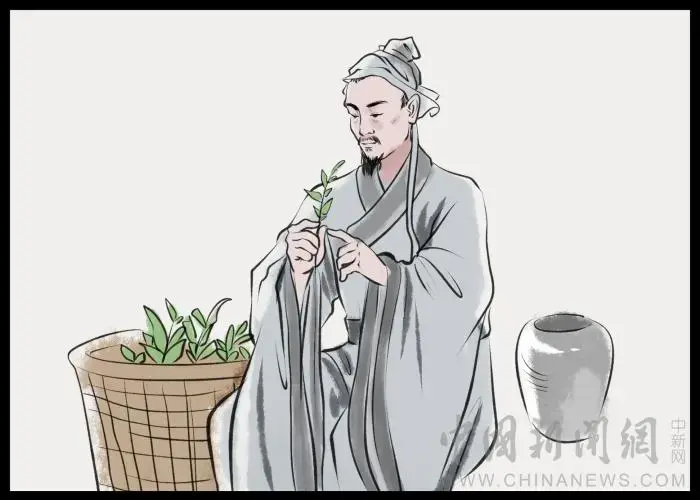(麻沸散问世于什么时候)一千多年前，他发明“麻沸散”，首创用全身麻醉法施行外科手术，被后世尊为“外科鼻祖”  第2张