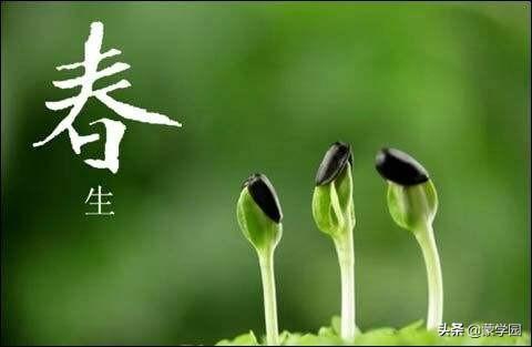 100个描写春天的四字词语,道不尽的盎然春意!(生意葱茏) 第2张 100个描写春天的四字词语,道不尽的盎然春意!(生意葱茏) 第2张