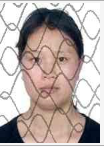 丛台法院公布失信被执行人员名单(2022年第一期)(查失信人员名单官网)  第12张